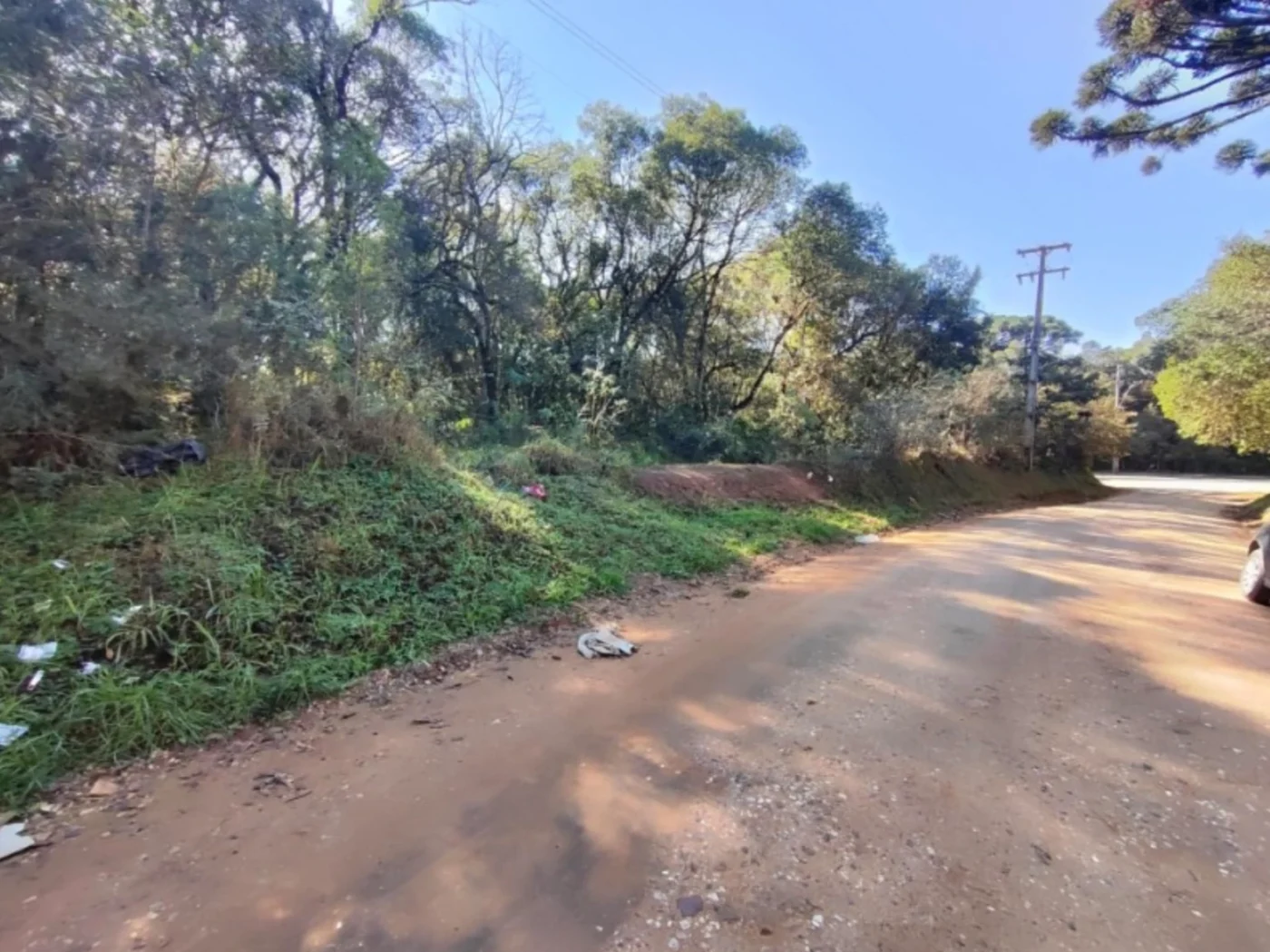 Terreno Em Colombo